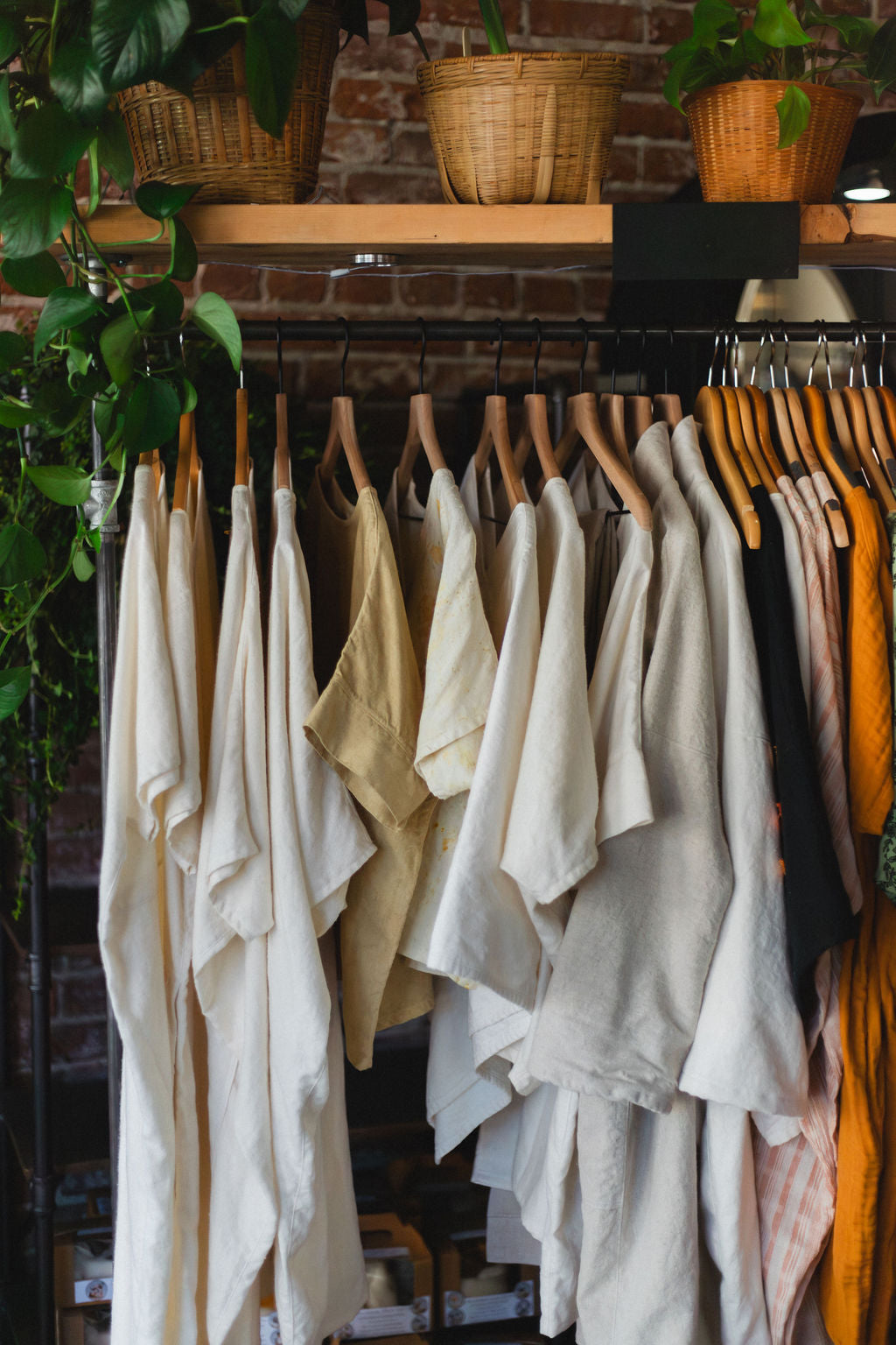 Clothing on hangers against a brick wall with plants
