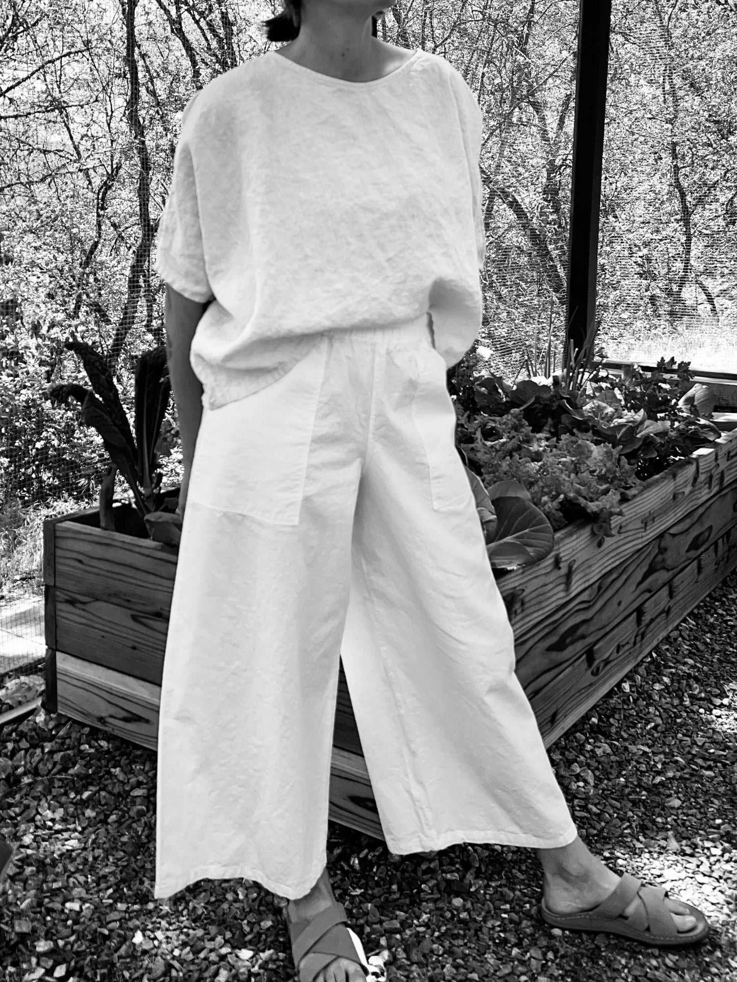 Lily Pants